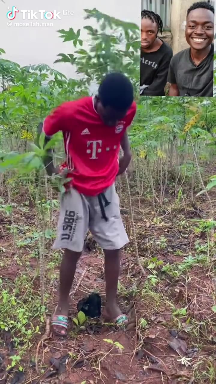 Sometimes you think you have succeeded 🥺🥺😂😂😂😂😂 · @Eni luis on CashChat