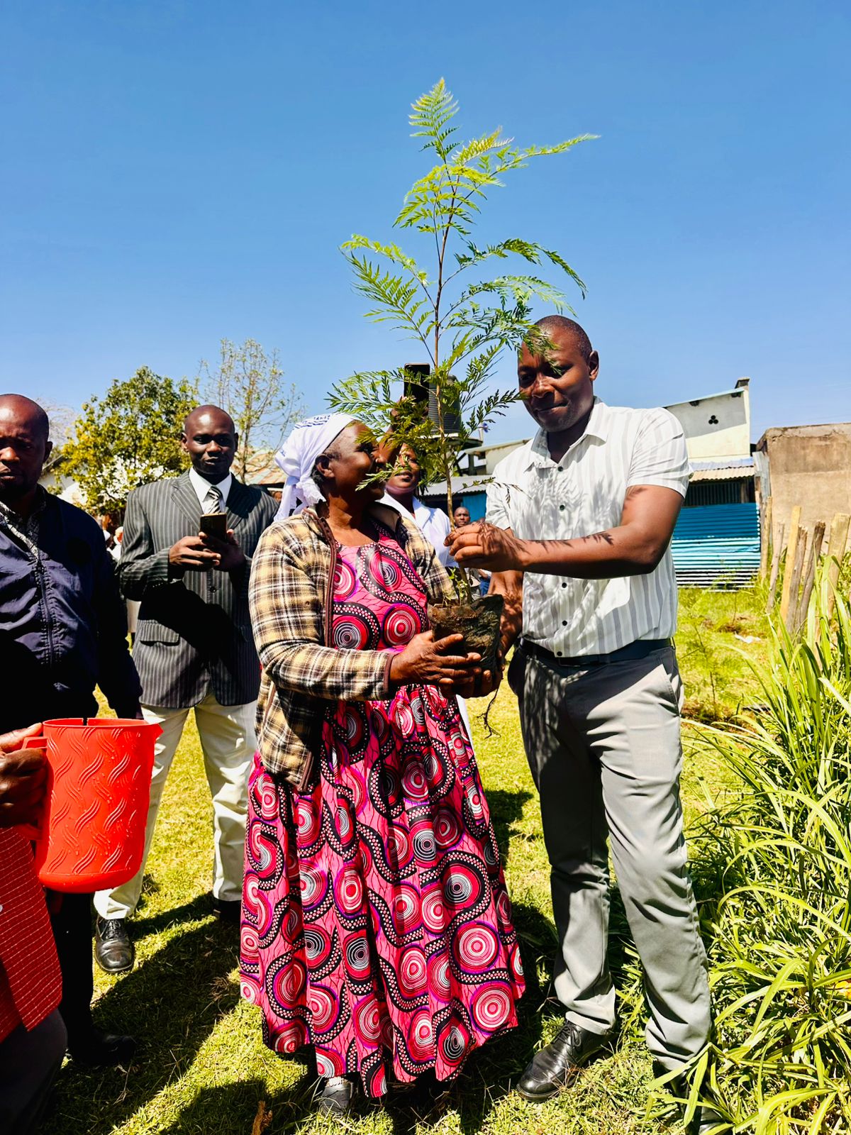 Tree 🌲 planting · @Ruth on CashChat